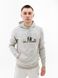 Толстовка HELLY HANSEN NORD GRAPHIC PULL OVER HOODIE 62975-950 фото 1
